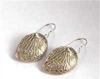 Paua Shell pure silver earrings